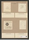 Coscinodiscus pericompsos Rattr. (de-Toni-Nr.: Genus 202, Species 5090) Zeichnungen Sammlung Grunow Nr. 8847 (NHMW-BOT-W0378474)